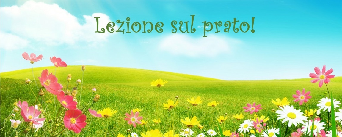 Lezione sul prato!