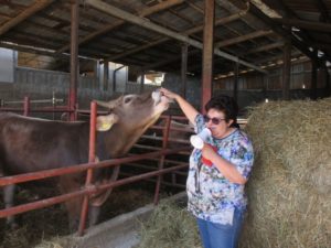 Visita Azienda Vergara_Infanzia Carrafo 2017_7