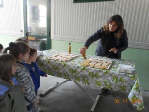 Visita Oleificio Silvestri_Infanzia Garibaldi-Sez A_2018_10