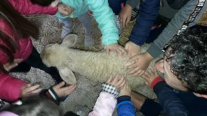 Visita Fattoria "Di Mattia"_Infanzia Carrafo_5