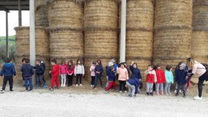 Visita Fattoria "Di Mattia"_Infanzia Carrafo_3