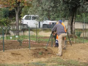 Fasi della preparazione dell'orto