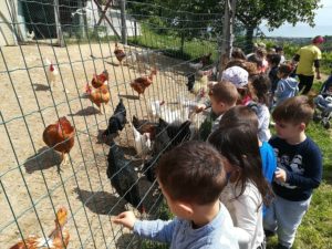 Visita "Fattoria Lori"_Infanzia Carrafo_1