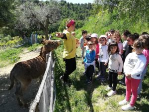 Visita "Fattoria Lori"_Infanzia Carrafo_5