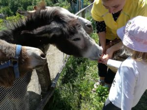 Visita "Fattoria Lori"_Infanzia Carrafo_6