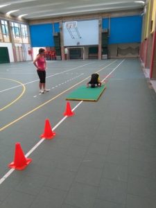 Percorso con slalom 2