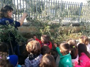 Visita Oleificio Silvestri_Infanzia Garibaldi_Sez D_4