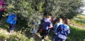 Visita Oleificio Silvestri_Infanzia Garibaldi_Sez C_4