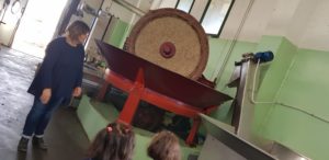 Visita Oleificio Silvestri_Infanzia Garibaldi_Sez C_6