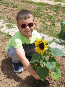 Bambino_Girasoli Orto Carrafo1