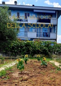 I girasoli dell'orto della scuola