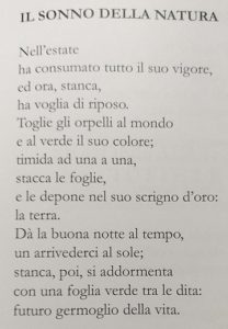 Testo poesia - Concorso nazionale di poesia 2023_1